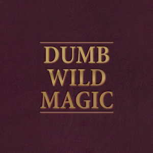 Dumb Wild Magic Table